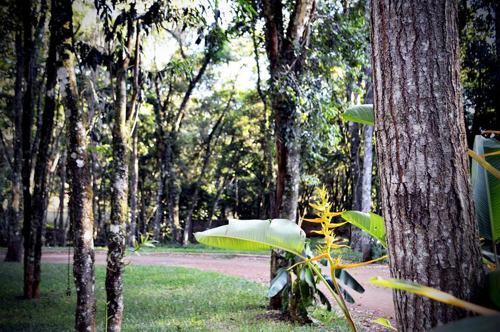 Cabanas Las Termas Villa Oberá Dış mekan fotoğraf